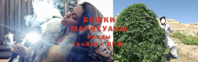 сколько стоит  Донской  Конопля White Widow 